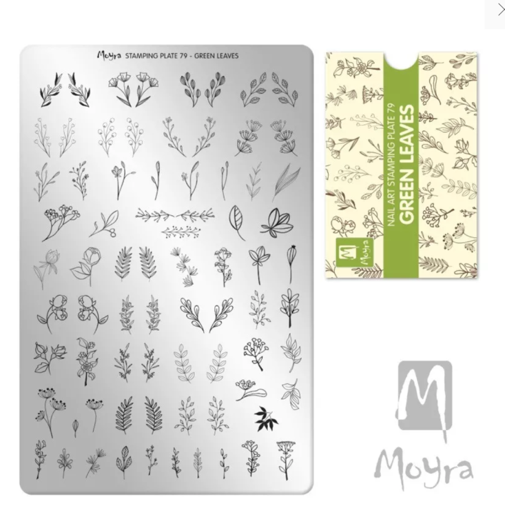 Zrzut ekranu 2021-11-12 o 16.23.47.png