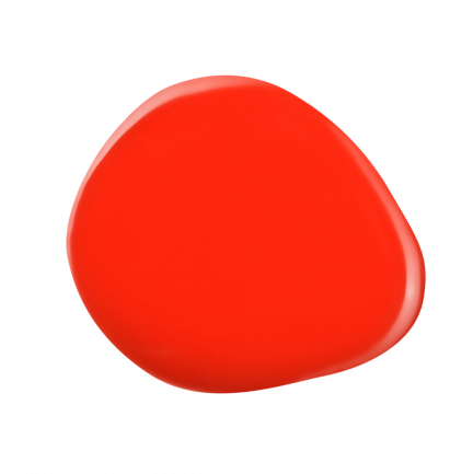 463.jpg