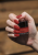 ls13aa.png
