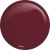 pure-creamy-hybrid-249-fiery-leaf-1.JPG