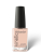 KINETICS 609.webp