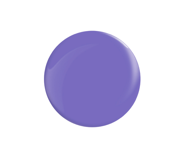 Crocus Harmony KABOS.WEBP