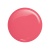 377 KOLOR.WEBP
