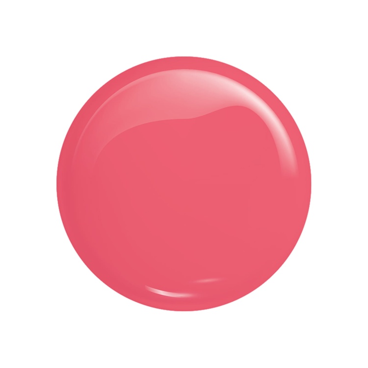 377 KOLOR.WEBP
