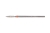 PT_C-02.webp