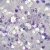 BLING-BLING-Nr2-2.webp