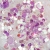 BLING-BLING-Nr3-2.webp