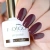 CHOCOLATIER PHOTO.webp