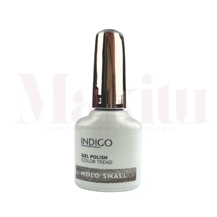 HOLO SMALL indigo_11zon.webp