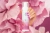 vv_piankaSenso_04_ddeb.webp