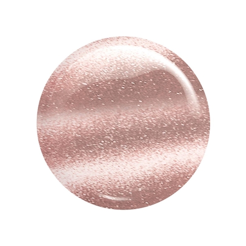 insta-gel-13-korean-cat-eye-40-ml (1).jpg