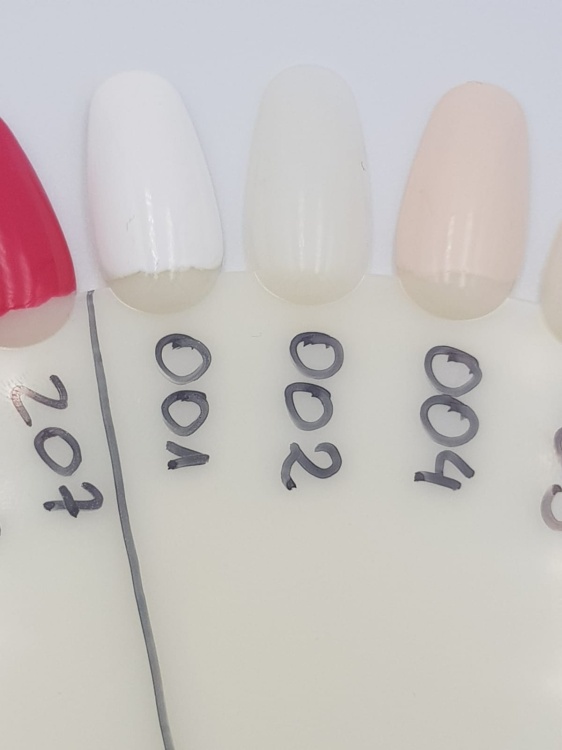 WhatsApp Image 2019-03-21 at 11.13.59.jpeg