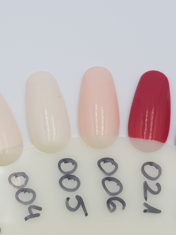 WhatsApp Image 2019-03-21 at 11.13.59(1).jpeg