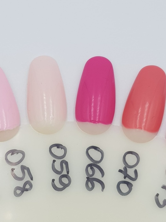 WhatsApp Image 2019-03-21 at 11.13.58.jpeg