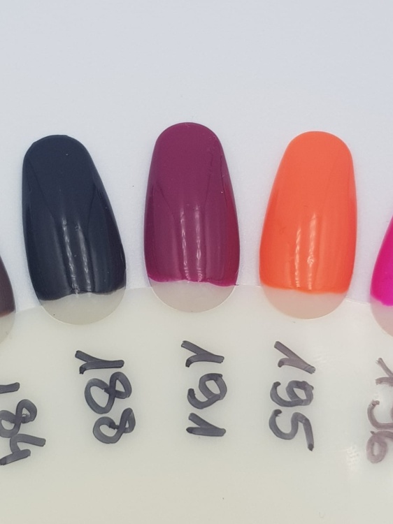 WhatsApp Image 2019-03-21 at 11.13.57(1).jpeg