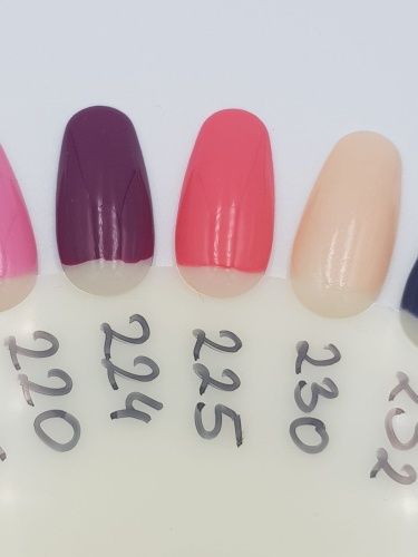 WhatsApp Image 2019-03-21 at 11.13.56.jpeg