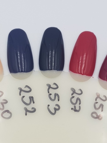 WhatsApp Image 2019-03-21 at 11.13.56(1).jpeg