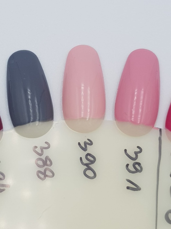 WhatsApp Image 2019-03-21 at 11.13.52.jpeg